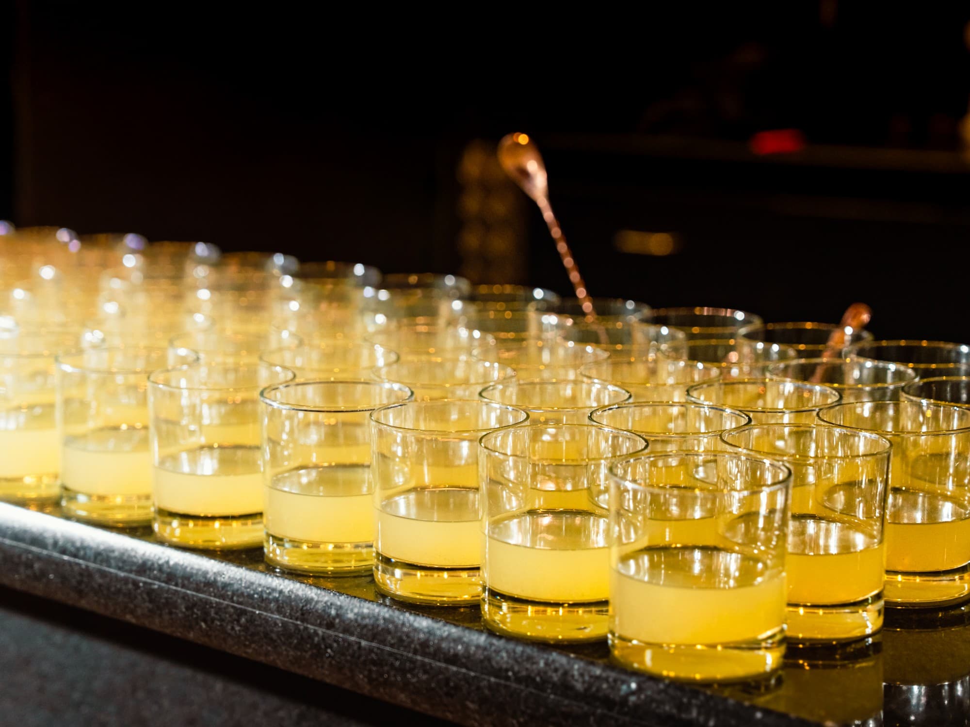Events & Galas — photo 13/16